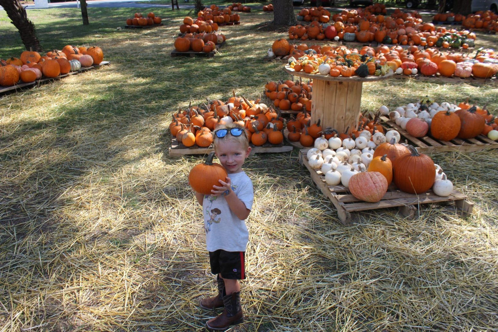 Photos Keystone Methodist Pumpkin Patch Bradford County Telegraph