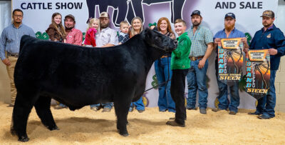 Top steers belong to Elixson and Wainwright