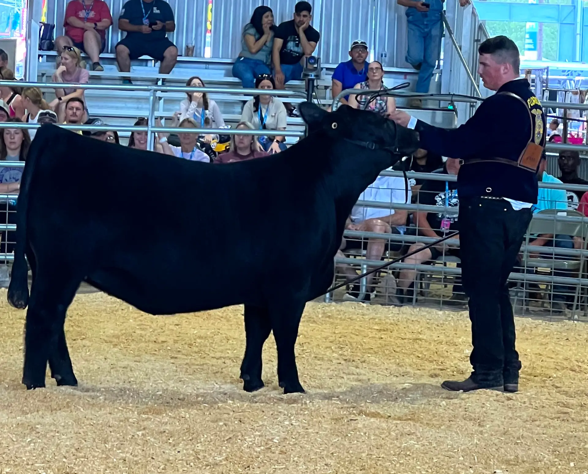KH Students Win Multiple Awards at Clay County Fair Livestock Shows