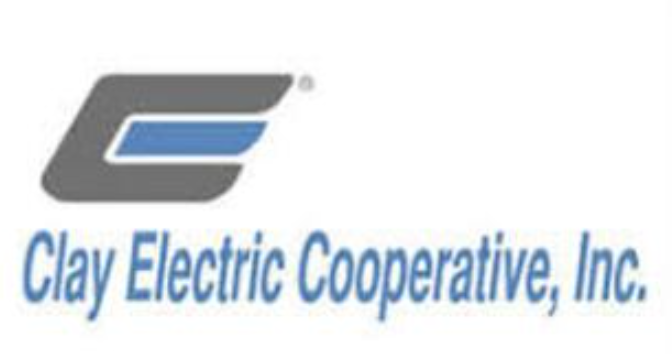 Clay Electric Foundation awards $80,700 to 10 North Central Florida nonprofits