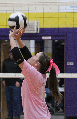 Tigers to host Bell in district tournament’s 1st round