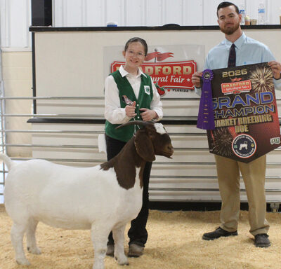 Box, Wainwright, Ward show grand champs at goat show