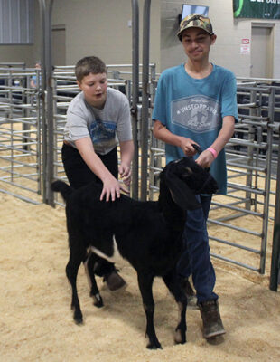 Photos: 6 participate in inaugural Unstoppable Goat Show