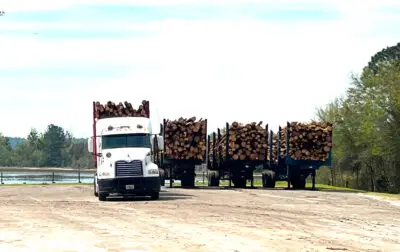 Lake Geneva Restoration Project Underway