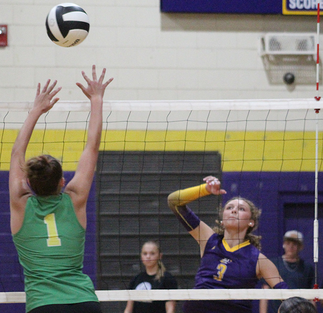 Tigers get 2nd win in volleyball