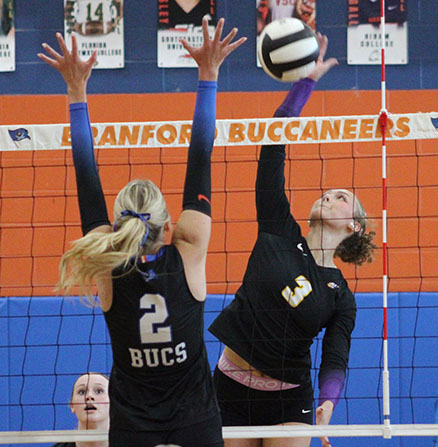 Tigers go up 2-0 before losing Region 3-Rural semifinal match