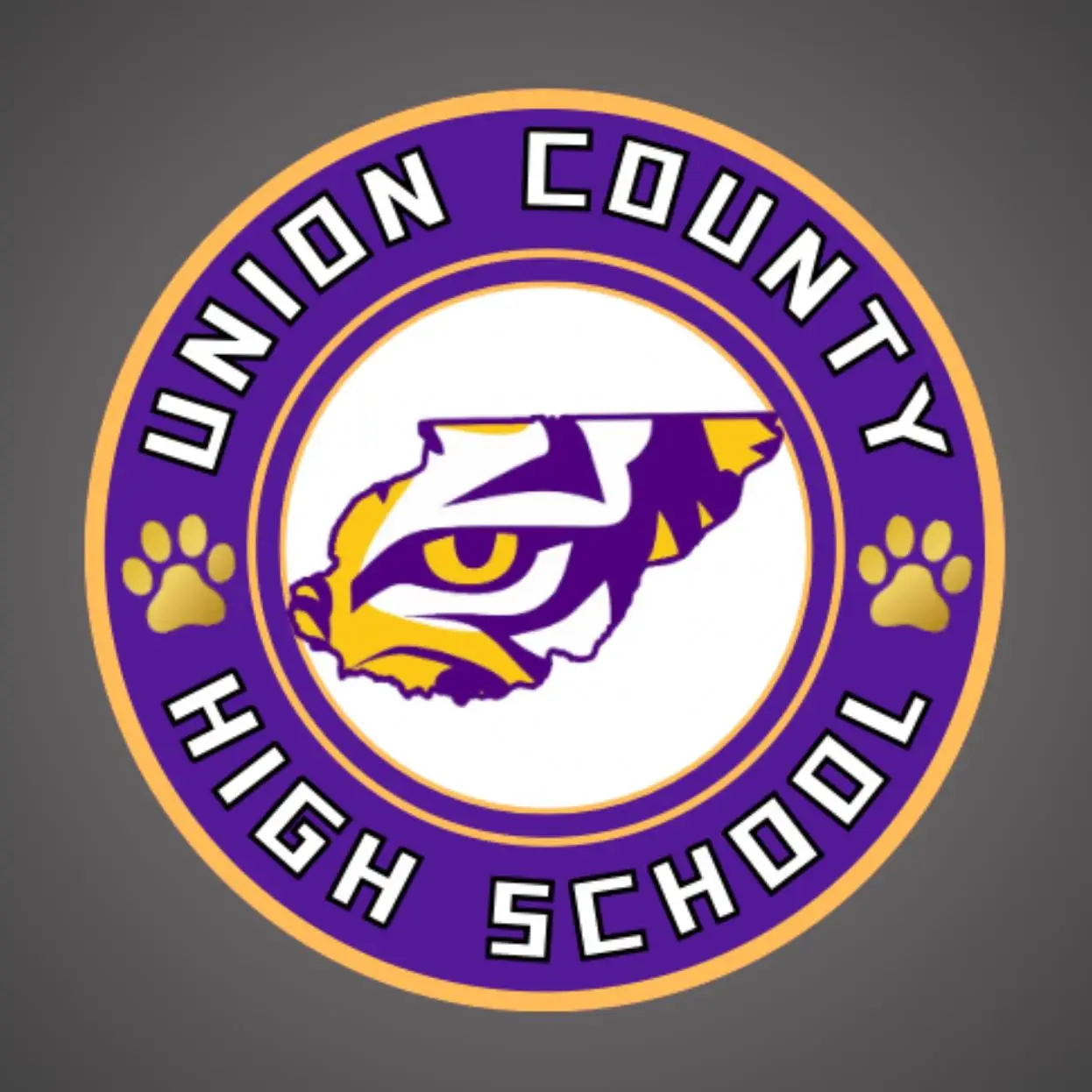 Rogers earns 2nd-place finish for UCHS at regional meet