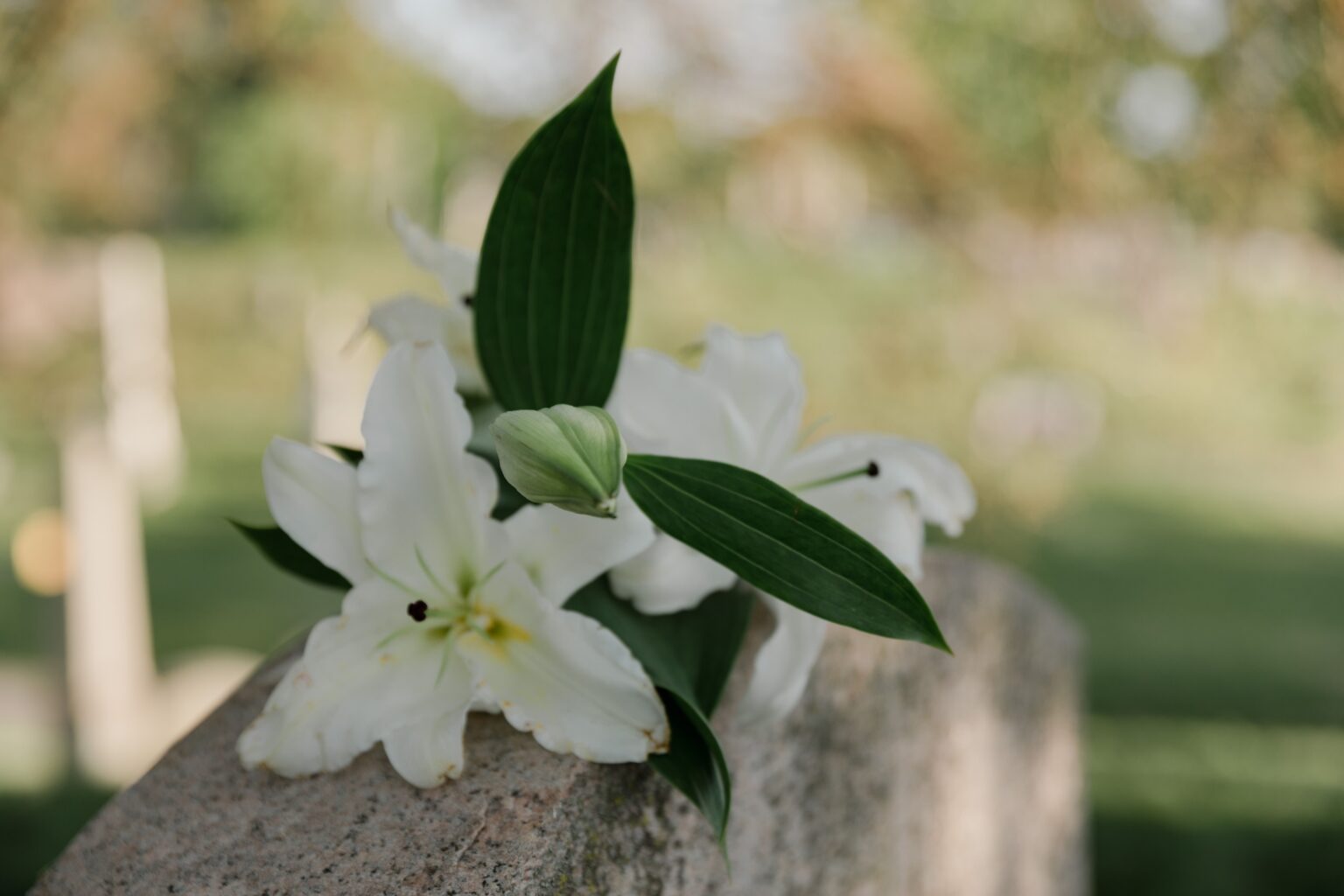 In Memory — Rev. Henderson Hudson