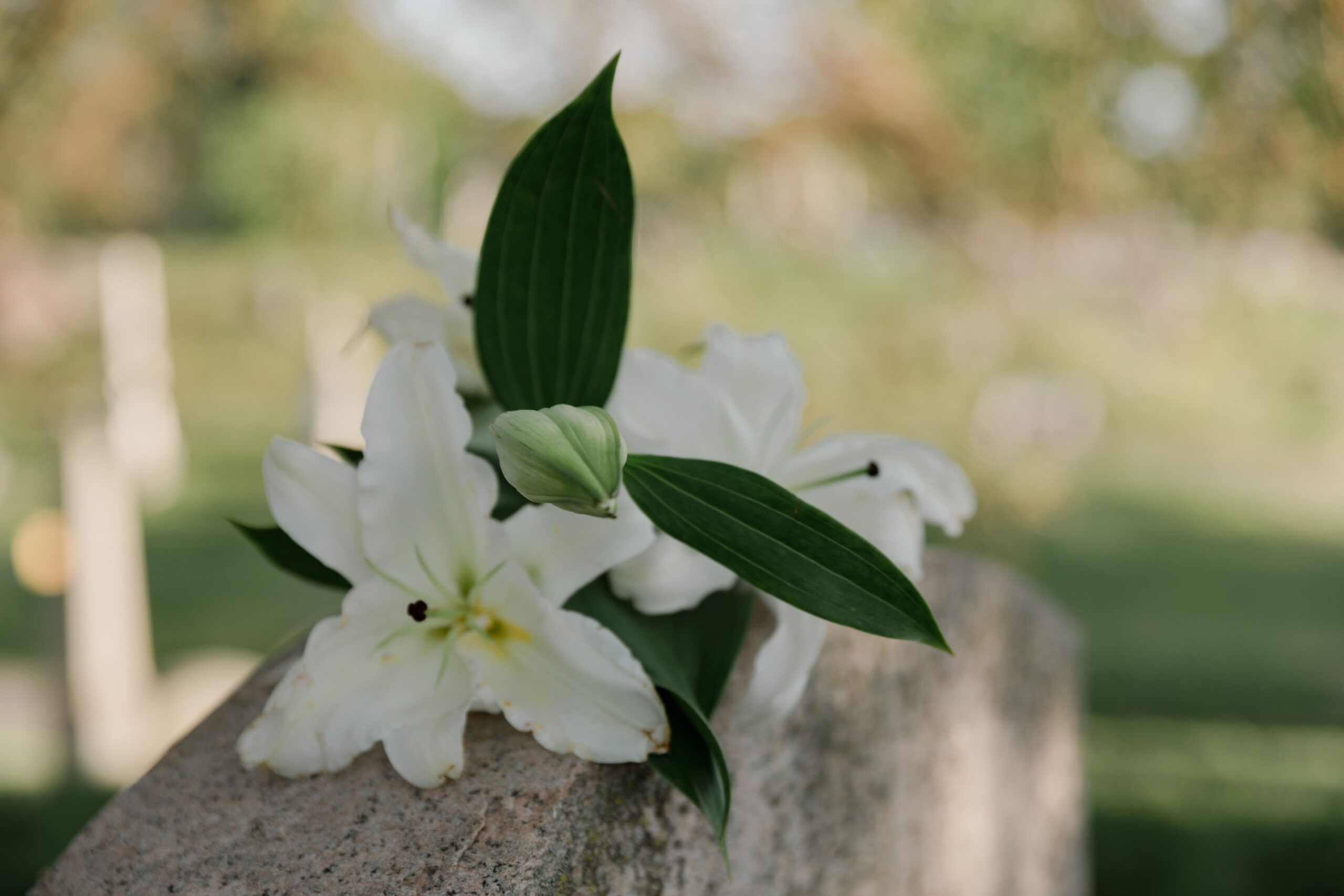 In Memory — Rev. Henderson Hudson